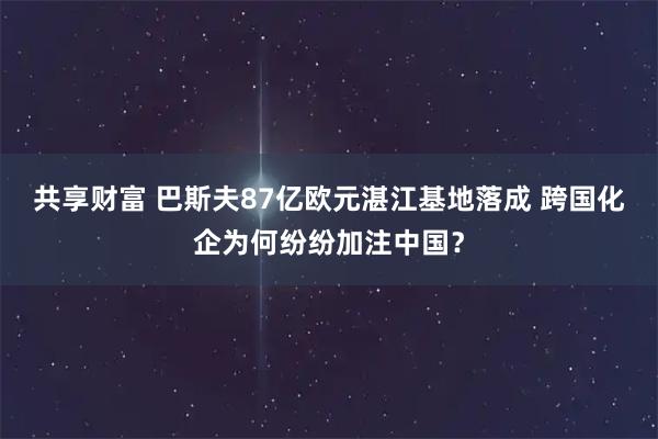 共享财富 巴斯夫87亿欧元湛江基地落成 跨国化企为何纷纷加注中国？